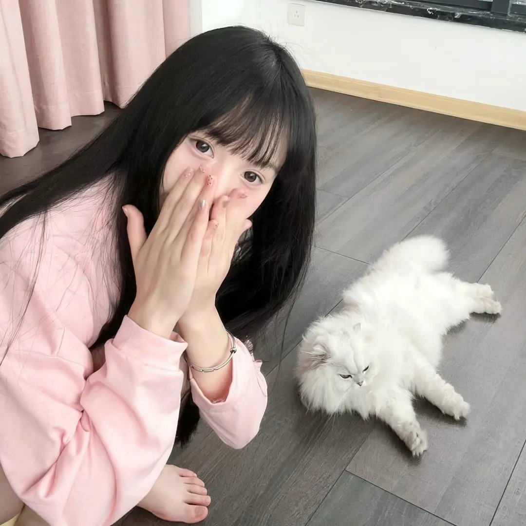 咒怨:终结的开始